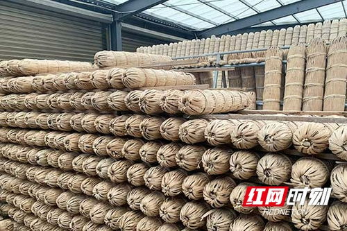 龍塘伴潮涌 ①丨一葉黑茶守初心 跨界突圍助振興